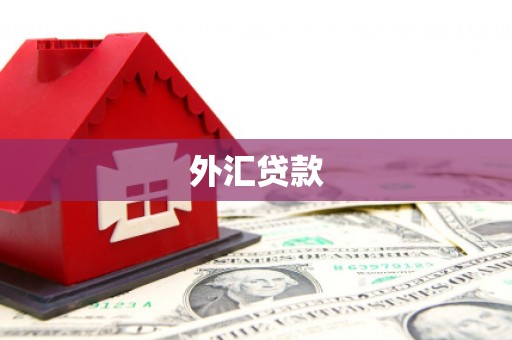 台前外汇贷款