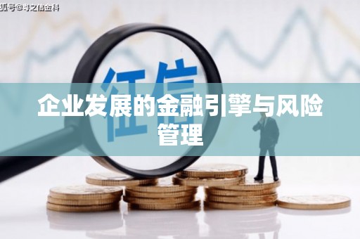 台前企业发展的金融引擎与风险管理