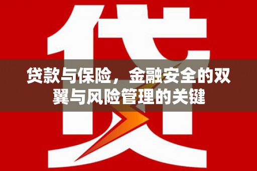 台前贷款与保险，金融安全的双翼与风险管理的关键