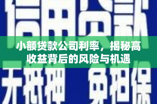 台前小额贷款公司利率，揭秘高收益背后的风险与机遇