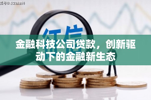 台前金融科技公司贷款，创新驱动下的金融新生态