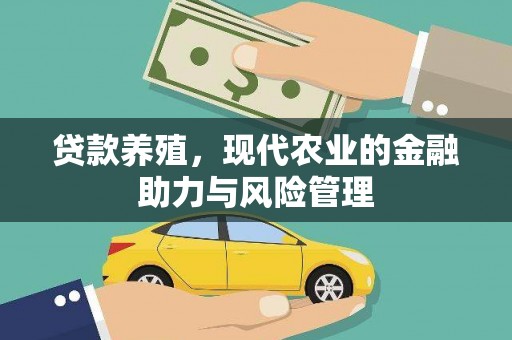 台前贷款养殖，现代农业的金融助力与风险管理
