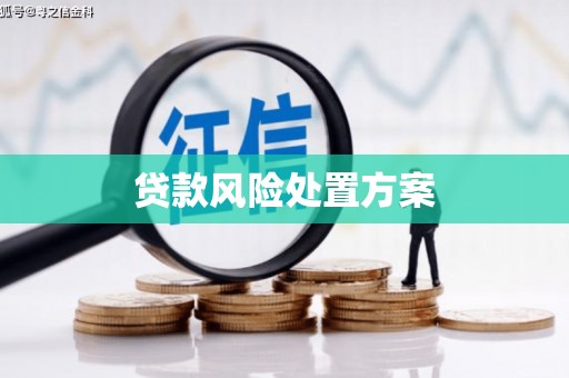 台前贷款风险处置方案