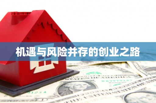 台前机遇与风险并存的创业之路