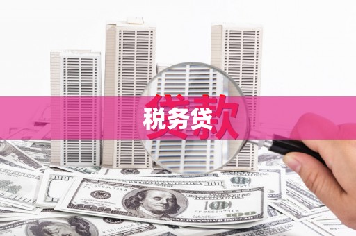 台前税务贷