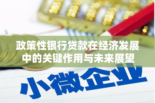 台前政策性银行贷款在经济发展中的关键作用与未来展望
