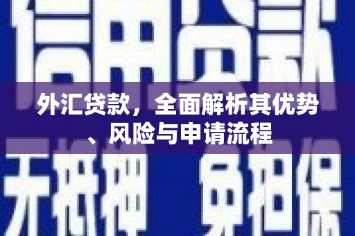 台前外汇贷款，全面解析其优势、风险与申请流程
