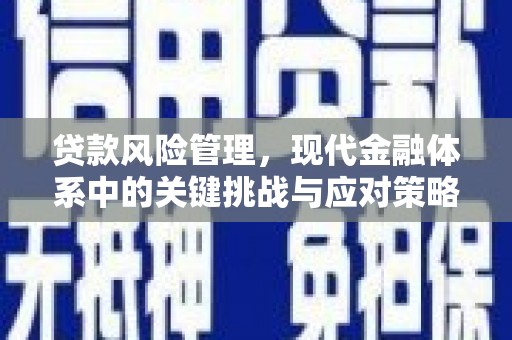 台前贷款风险管理，现代金融体系中的关键挑战与应对策略