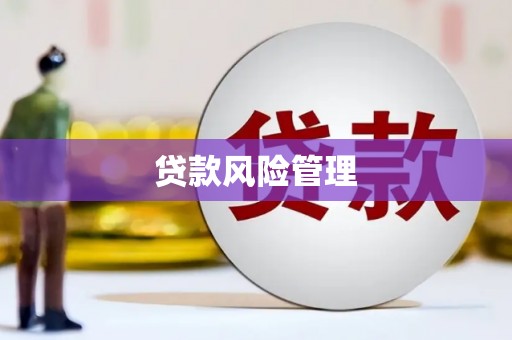 台前贷款风险管理
