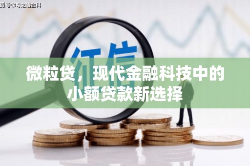 台前微粒贷，现代金融科技中的小额贷款新选择