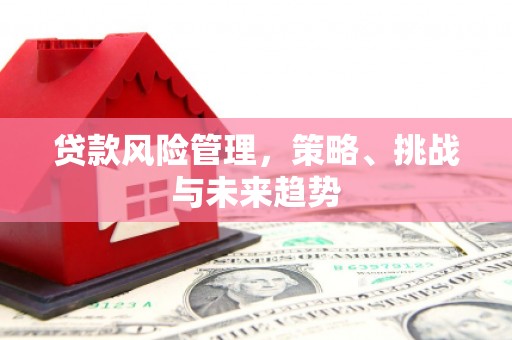 台前贷款风险管理，策略、挑战与未来趋势