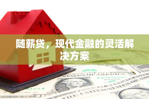 台前随薪贷，现代金融的灵活解决方案