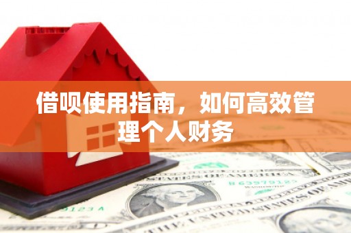 台前借呗使用指南，如何高效管理个人财务