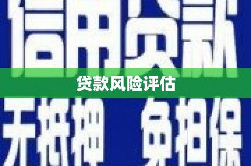 台前贷款风险评估