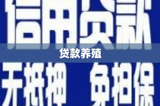 台前贷款养殖