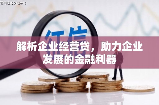 台前解析企业经营贷，助力企业发展的金融利器