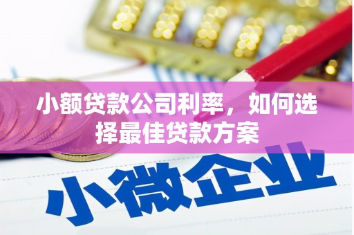 台前小额贷款公司利率，如何选择最佳贷款方案