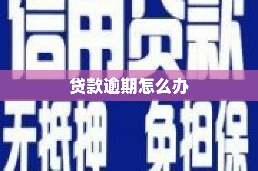 台前贷款逾期怎么办