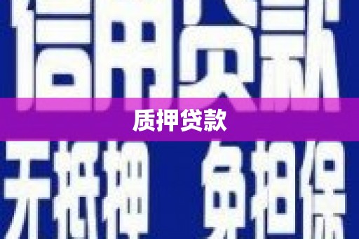 台前质押贷款
