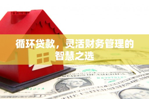 台前循环贷款，灵活财务管理的智慧之选
