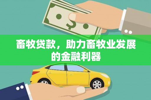 台前畜牧贷款，助力畜牧业发展的金融利器