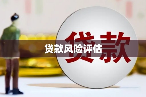 台前贷款风险评估
