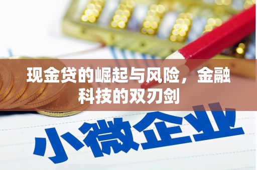 台前现金贷的崛起与风险，金融科技的双刃剑