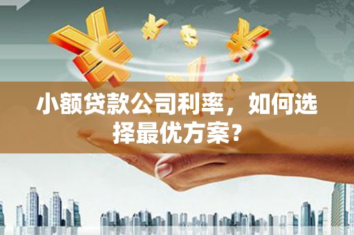 台前小额贷款公司利率，如何选择最优方案？