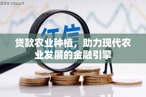 台前贷款农业种植，助力现代农业发展的金融引擎