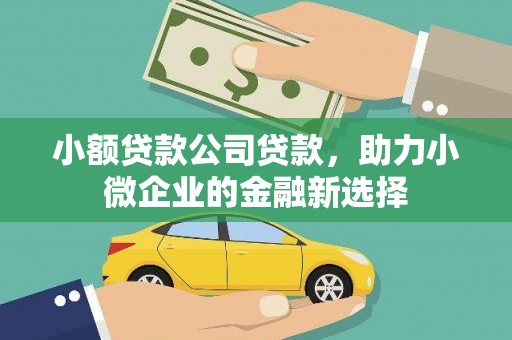 台前小额贷款公司贷款，助力小微企业的金融新选择