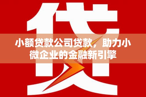 台前小额贷款公司贷款，助力小微企业的金融新引擎