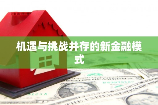 台前机遇与挑战并存的新金融模式