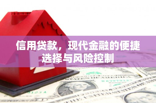 台前信用贷款，现代金融的便捷选择与风险控制