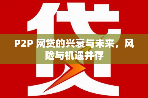 台前P2P 网贷的兴衰与未来，风险与机遇并存