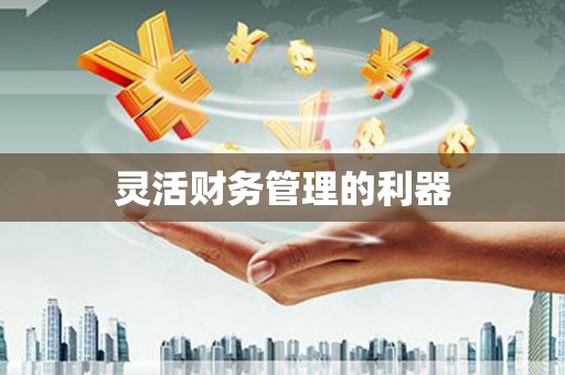 台前灵活财务管理的利器