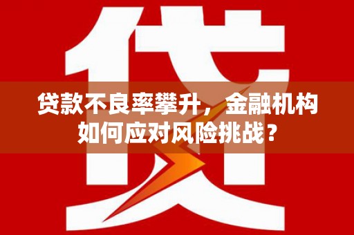 台前贷款不良率攀升，金融机构如何应对风险挑战？
