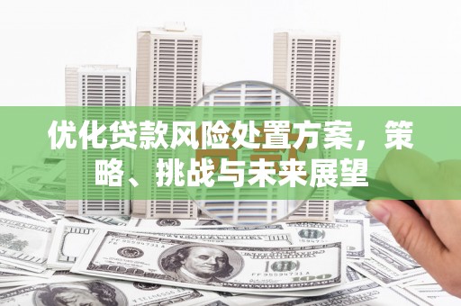 台前优化贷款风险处置方案，策略、挑战与未来展望