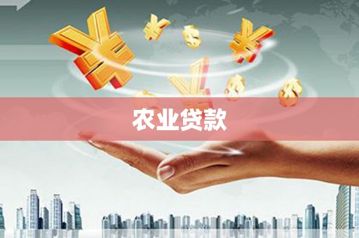 台前农业贷款