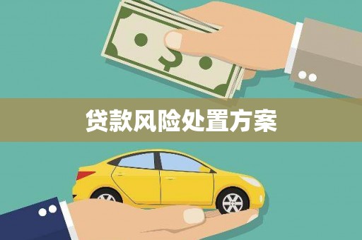 台前贷款风险处置方案