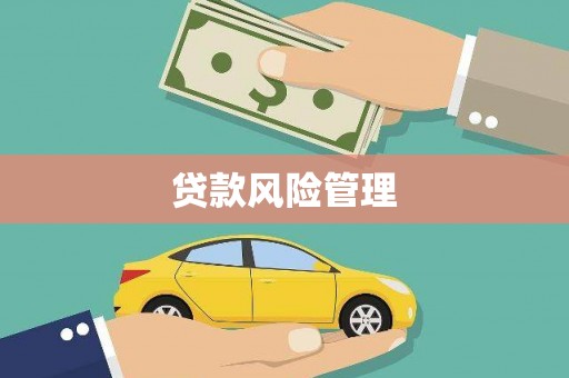 台前贷款风险管理