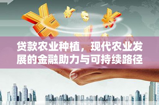 台前贷款农业种植，现代农业发展的金融助力与可持续路径