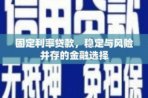 台前固定利率贷款，稳定与风险并存的金融选择