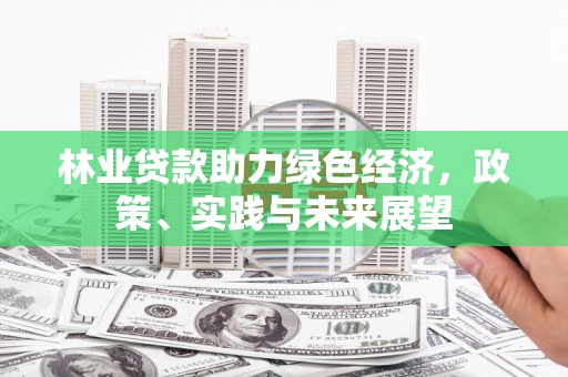 台前林业贷款助力绿色经济，政策、实践与未来展望