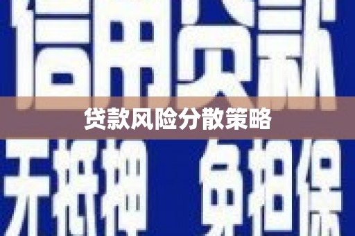 台前贷款风险分散策略