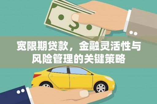 台前宽限期贷款，金融灵活性与风险管理的关键策略