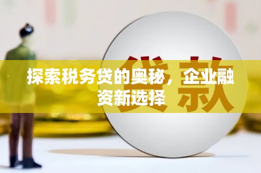 台前探索税务贷的奥秘，企业融资新选择