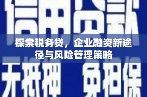 台前探索税务贷，企业融资新途径与风险管理策略
