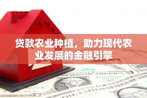 台前贷款农业种植，助力现代农业发展的金融引擎
