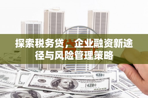 台前探索税务贷，企业融资新途径与风险管理策略