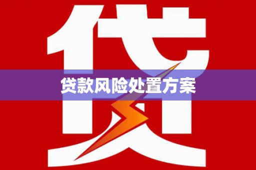 台前贷款风险处置方案